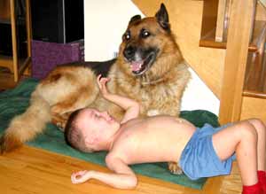 German shepherds dog playing with children