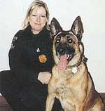 police dog german shepherd dog